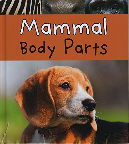 Beispielbild fr Mammal Body Parts (Read and Learn: Animal Body Parts) zum Verkauf von Phatpocket Limited